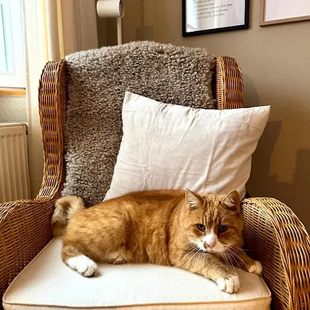 Am Saaler Bodden Apartment