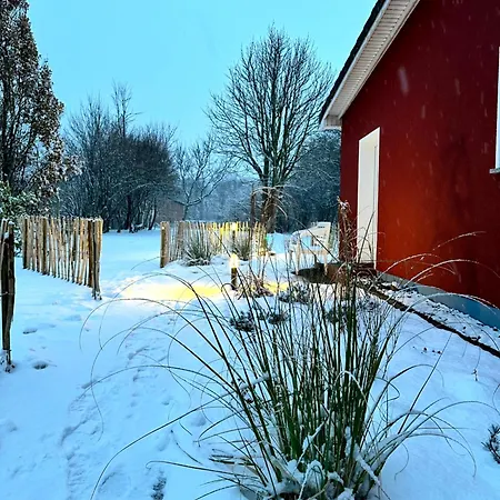 Apartment Am Saaler Bodden Saal