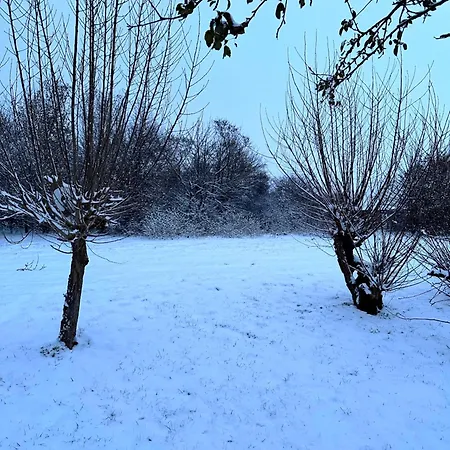 Am Saaler Bodden * Saal