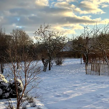 Am Saaler Bodden Apartment