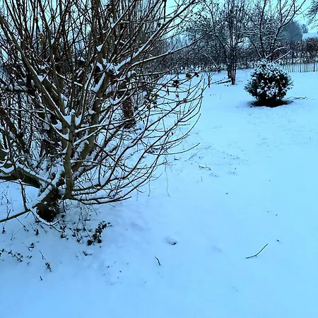 Apartment Am Saaler Bodden Saal