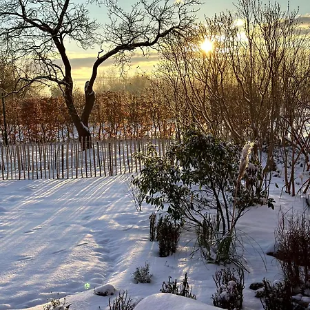 Am Saaler Bodden * Saal