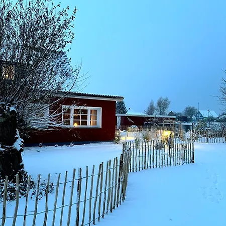 Apartment Am Saaler Bodden