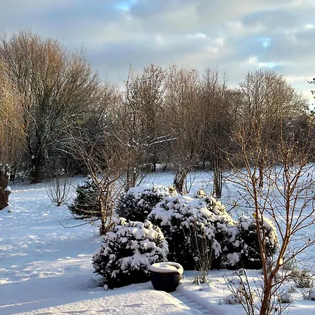 Am Saaler Bodden Apartment Saal