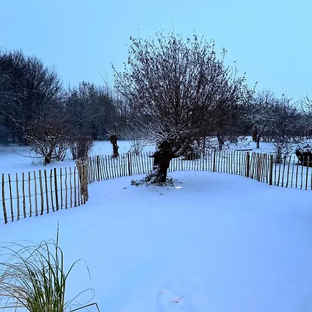 Am Saaler Bodden Saal