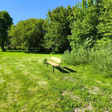 Am Saaler Bodden * Saal